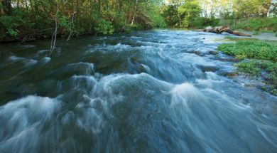 Oka' Yanahli Preserve