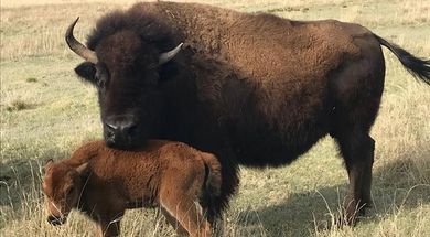 Guymon Game Preserve