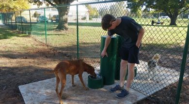 Paws Valley Dog Park