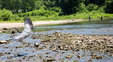 Spavinaw Area at Grand Lake State Park