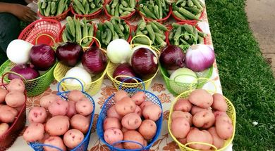 Grove Farmers Market