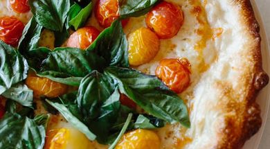 Sparrow Modern Italian