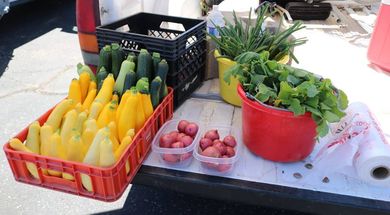 Grady County Farmers Market