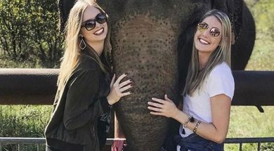 Adult Elephant Expedition