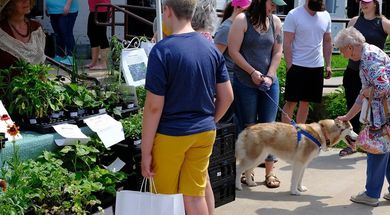 Paseo Farmers Market