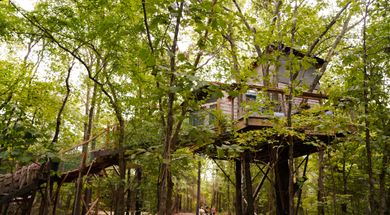 The Choctaw Treehouse