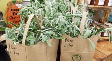 Conscious Community Co-op Farmers Market