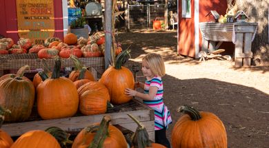 Parkhurst Pumpkin Patch