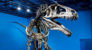 Museum of the Red River