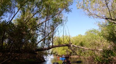 Arcadia Conservation Education Area
