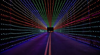 Lights From the Heart