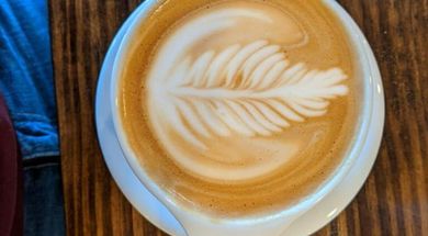 Yellow Dog Coffee Company