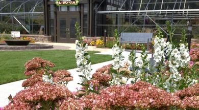 Butterfly House at the Papilion