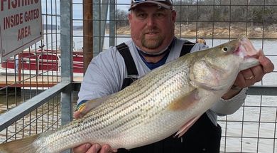 Mojo Striper Guide Service