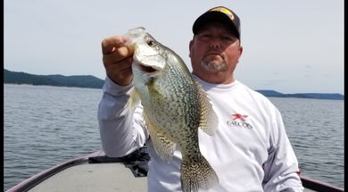 Mike's Crappie Guide Service