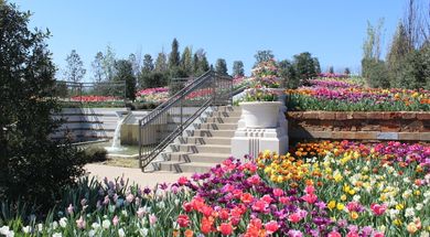 Discover Oklahoma's Secret Gardens