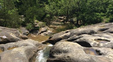 J.T. Nickel Family Nature & Wildlife Preserve