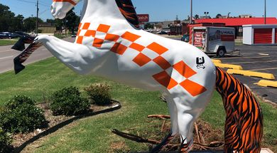 Shawnee Painted Horses