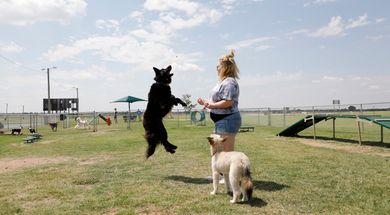 OnCue Express #4103 Dog Park