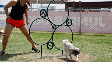 OnCue Express #45 Dog Park