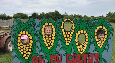 Oh My Gourd Pumpkin Patch
