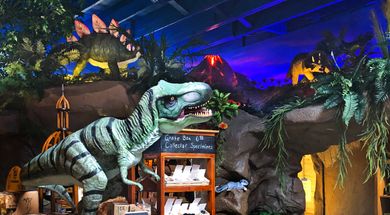 Decopolis Discovitorium