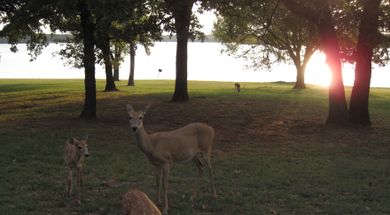 Lake Humphreys