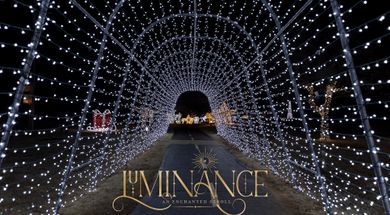 Edmond Electric's Luminance - An Enchanted Stroll