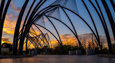 Under Her Wing was the Universe