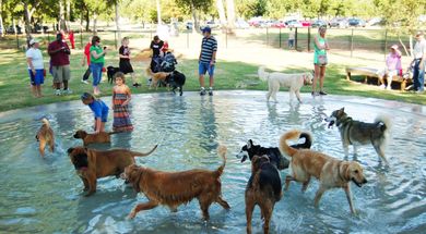 Fred Quinn Happy Tails Dog Park