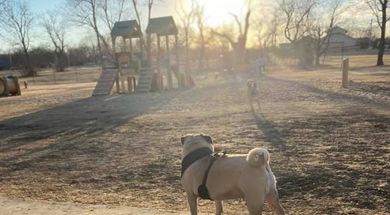 Cat Creek Dog Park