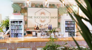 The Succulent Shop