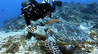 Nautical Adventures Scuba