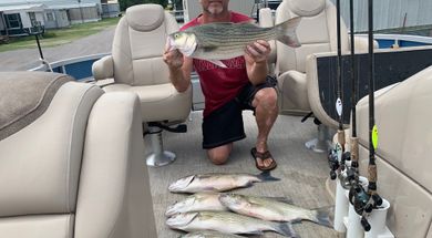 Wild Goose Guide Service