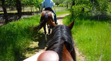 Honey Lee Ranch Trail Rides