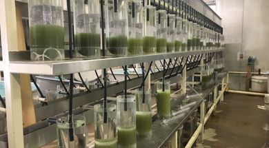 Byron State Fish Hatchery