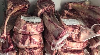 The Feedlot