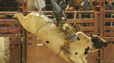 Cimarron River Stampede Rodeo