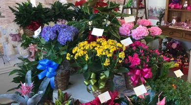 Bebb's Flowers & Gifts