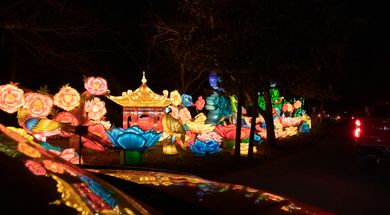 OKC Zoo Safari Lights