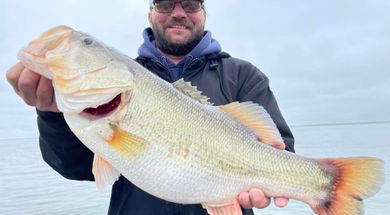 Shangri-La Guide Service