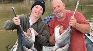 Stretch N Line Guide Service