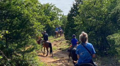 Lake Murray Riding Stables