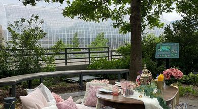 Picnickery Pop-Up Picnics