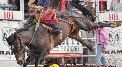 101 Wild West Rodeo