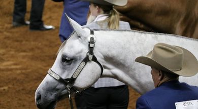 Redbud Spectacular Horse Show
