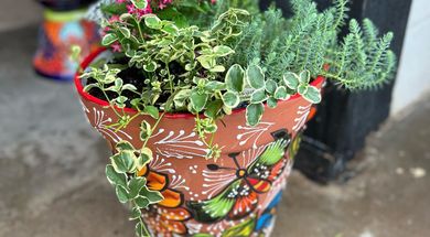 Honey Pot Garden & Gifts