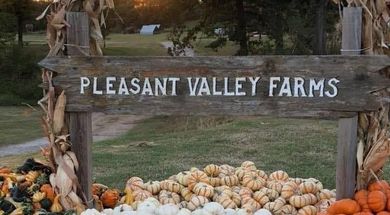 Pleasant Valley Farms Pumpkin Patch