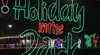 Holiday in the Park