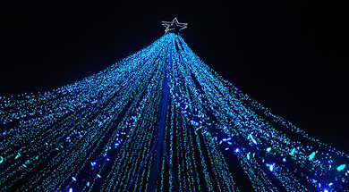 Christmas in the Park